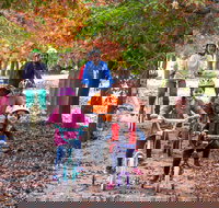 Beechworth to Everton Station 16km - Darwin Holiday