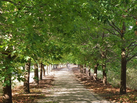 Beechworth To Everton Station 16km - Darwin Holiday 1