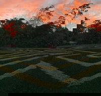 Bellingham Maze - Darwin Holiday
