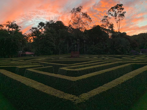 Bellingham Maze - Darwin Holiday 0