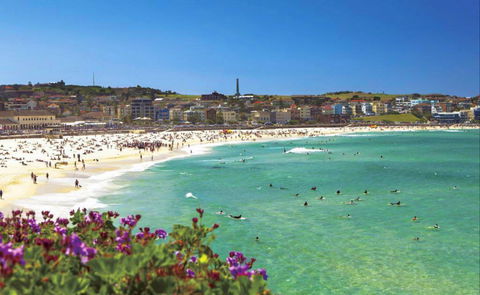 Bondi - Darwin Holiday 0