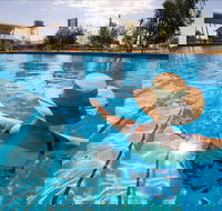 Boulia Sports and Aquatic Centre - Darwin Holiday