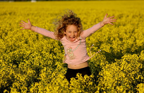 Canola Trail - Darwin Holiday 0