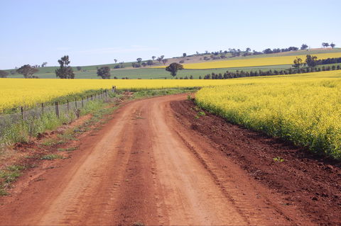 Canola Trail - Darwin Holiday 2