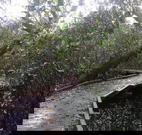 Carole Green Walkway - John Oxley Reserve - Darwin Holiday