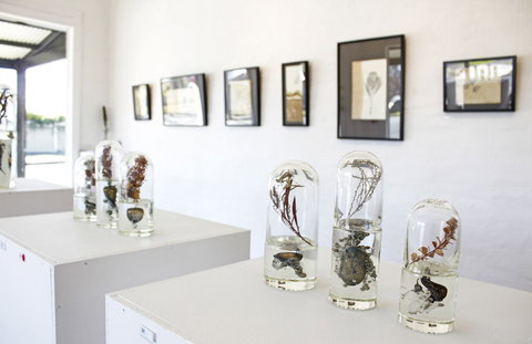 Corner Store Gallery - Darwin Holiday 2