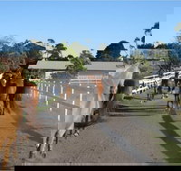 Darkes Forest Riding Ranch - Darwin Holiday