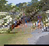Dayboro - Darwin Holiday