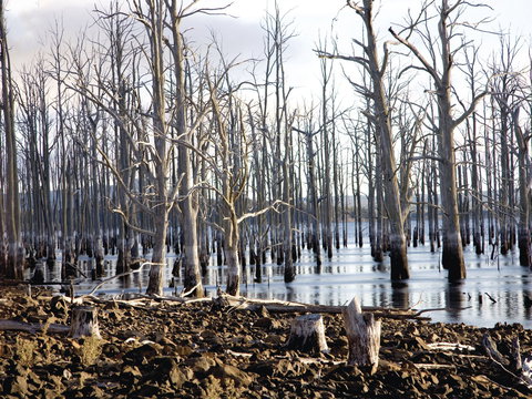 Derwent Valley And Central Highlands - Darwin Holiday 1
