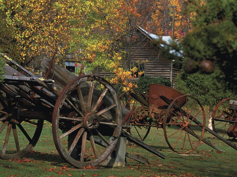 Derwent Valley And Central Highlands - Darwin Holiday 2