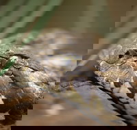 Discover Deadly - Darwin Holiday