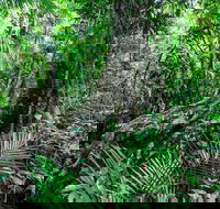 Djiru National Park - Darwin Holiday