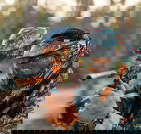 Echuca Paintball Games - Darwin Holiday