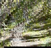 Euglah Rock Walking Track - Darwin Holiday
