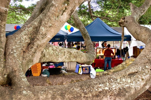 Eumundi - Darwin Holiday 0