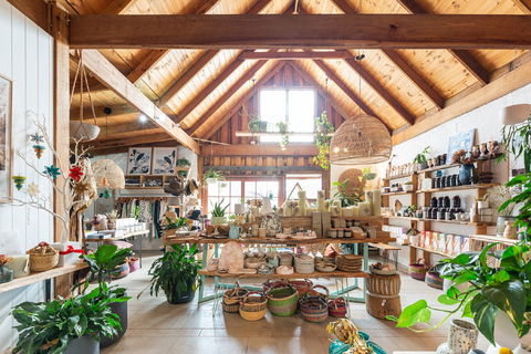 Fetch - Darwin Holiday 0