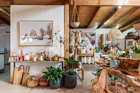 Fetch - Darwin Holiday 2