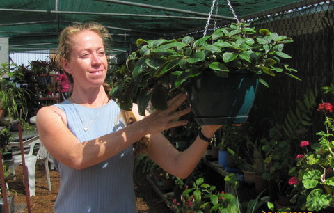 Folk Art Cooperative - Darwin Holiday 1