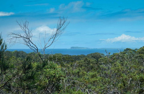 Forest Walking Track, Crowdy Bay National Park - Darwin Holiday 0