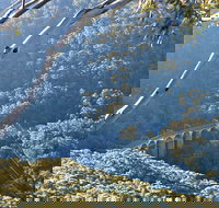 Forest Walk to Sublime Point Track - Darwin Holiday