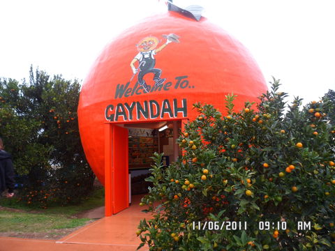 Gayndah's Big Orange - Darwin Holiday 2