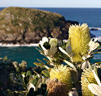 Green Island Walking Track - Darwin Holiday