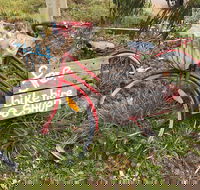 Grong Grong - Darwin Holiday