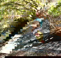 Haig Street Quarry Bushland Reserve Trails - Darwin Holiday