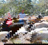 Haigslea EWE Nique Hobby Farm - Darwin Holiday