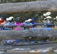 Harlow Park Horse Riding - Darwin Holiday