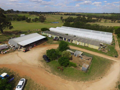 Hill-Lock Orchard - Darwin Holiday 0