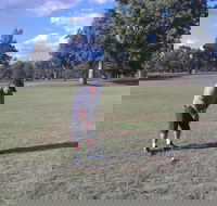 Inverell Golf Club - Darwin Holiday