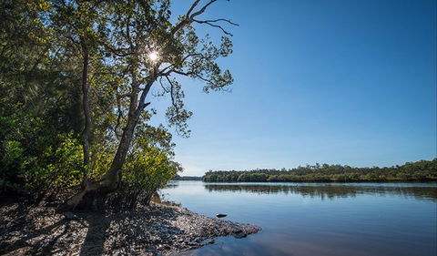 Karuah River National Park And Nature Reserve - Darwin Holiday 0