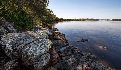 Karuah River National Park And Nature Reserve - Darwin Holiday 2