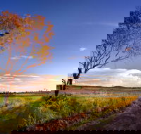 Kingsthorpe - Darwin Holiday