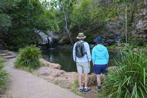 Kondalilla Falls Circuit, Kondalilla National Park - Darwin Holiday 1