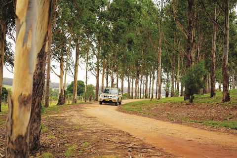 Kumbia - Darwin Holiday 0