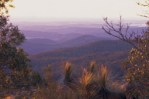 Kumbia - Darwin Holiday 1