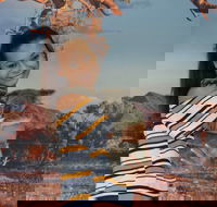 Kuranda Koala Gardens - Darwin Holiday