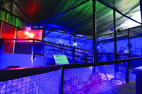 Kuranda Koala Gardens - Darwin Holiday 2