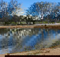 Lake King Wetlands at Rutherglen - Darwin Holiday