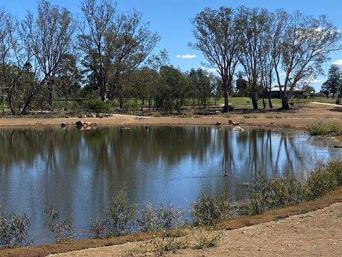 Lake King Wetlands At Rutherglen - Darwin Holiday 0