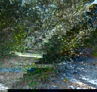 Lillypilly loop trail - Darwin Holiday