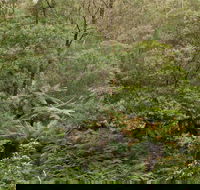 Lind National Park - Darwin Holiday