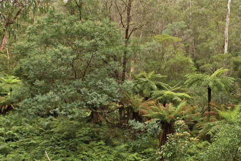 Lind National Park - Darwin Holiday 0
