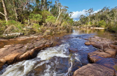 Little Dandahra Creek Walking Track - Darwin Holiday 0
