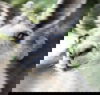 Lochern National Park - Darwin Holiday