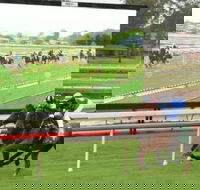 Manning Valley Race Club - Darwin Holiday