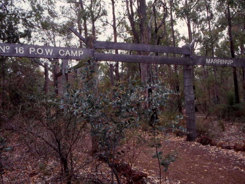 Marrinup Trail, Dwellingup - Darwin Holiday 0