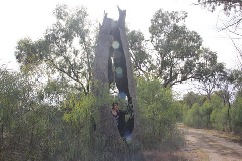 Martin Bend Wetland And Walking Trail - Darwin Holiday 1